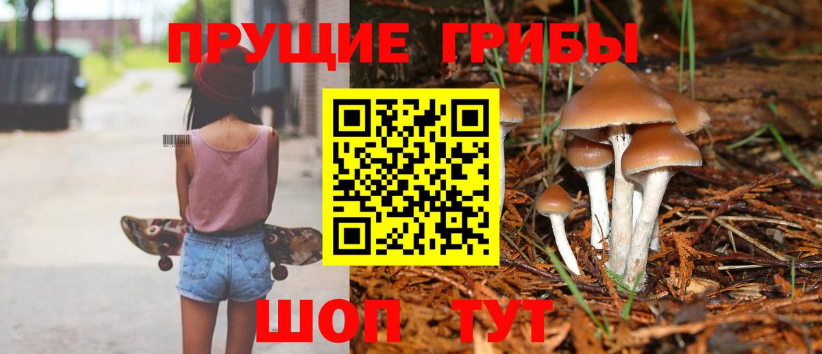 Псилоцибиновые грибы Magic Shrooms Норильск
