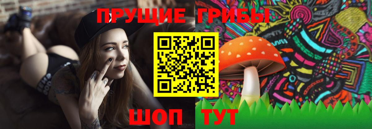Псилоцибиновые грибы GOLDEN TEACHER  Вход с VPN  Галлюциногенные грибы Psilocybe  Норильск 